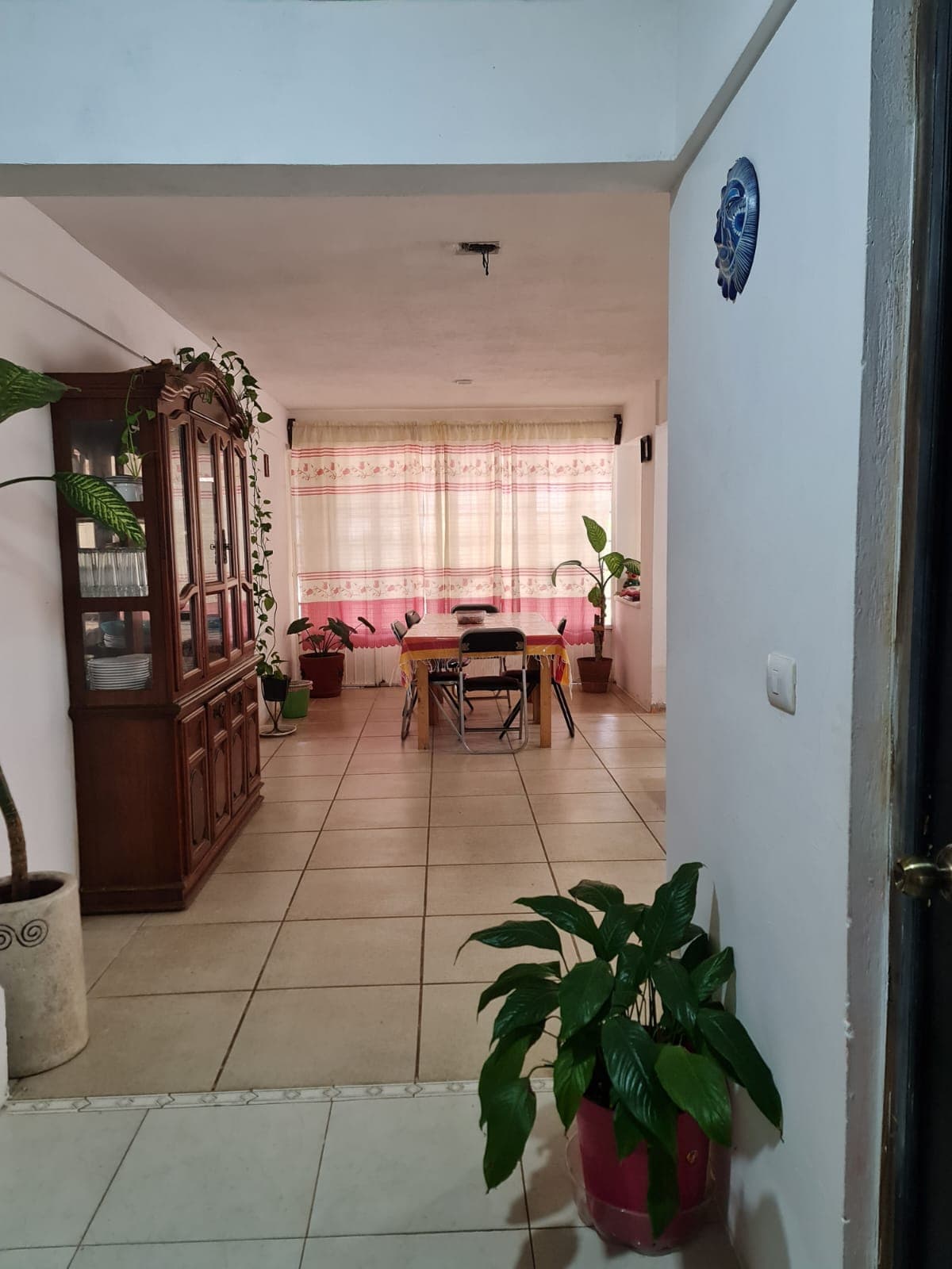 Jardin de los Anturios imagen 5