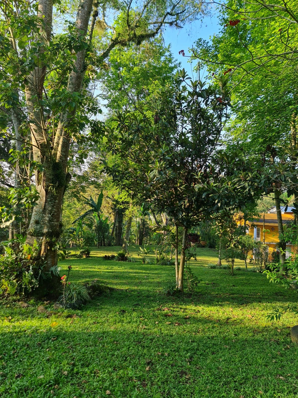 Jardin de los Anturios imagen 1